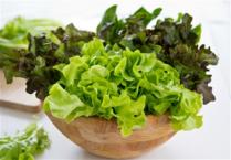 Zelena salata skida kile i čuva srce